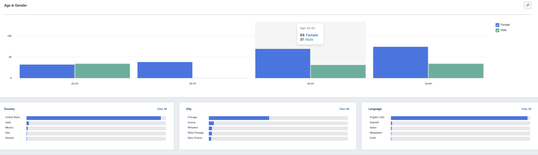 Business Demographics Data on the Facebook Ads Manager