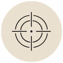 Entity optimization icon