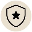 ai systems authority icon